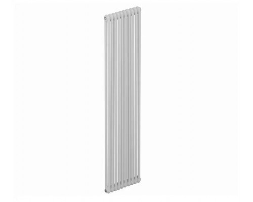 Стальной трубчатый радиатор RIFAR TUBOG TUB 2180 - 10 секций RTUB 2180-10