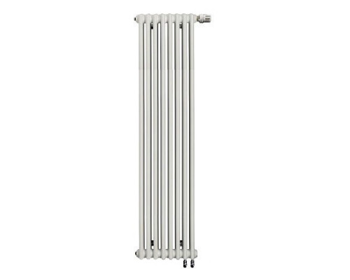 Стальной трубчатый радиатор RIFAR TUBOG TUB 2180 - 10 секций DV1 RTUBVT 2180-10