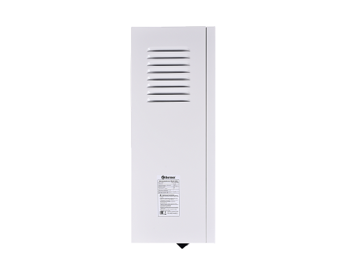 Электрический настенный котел THERMEX Boss 12 Wi-Fi (White)
